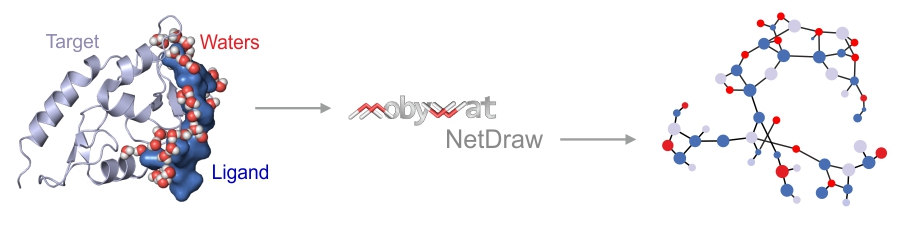 Hydration network of a molecular interface can be calculated by the NetDraw mode of MobyWat